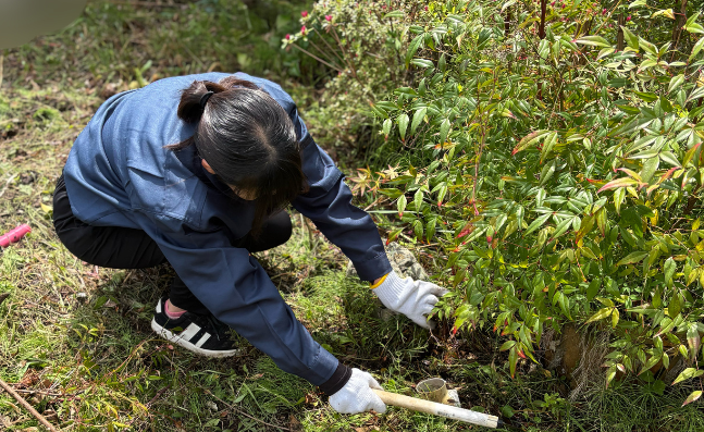 【施工事例】ご自宅の草むしりを代行しました|夏の雑草対策はプロにお任せ!